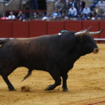 Sevilla, 8 de abril de 2018. Feria de Abril