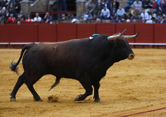 Sevilla, 8 de abril de 2018. Feria de Abril