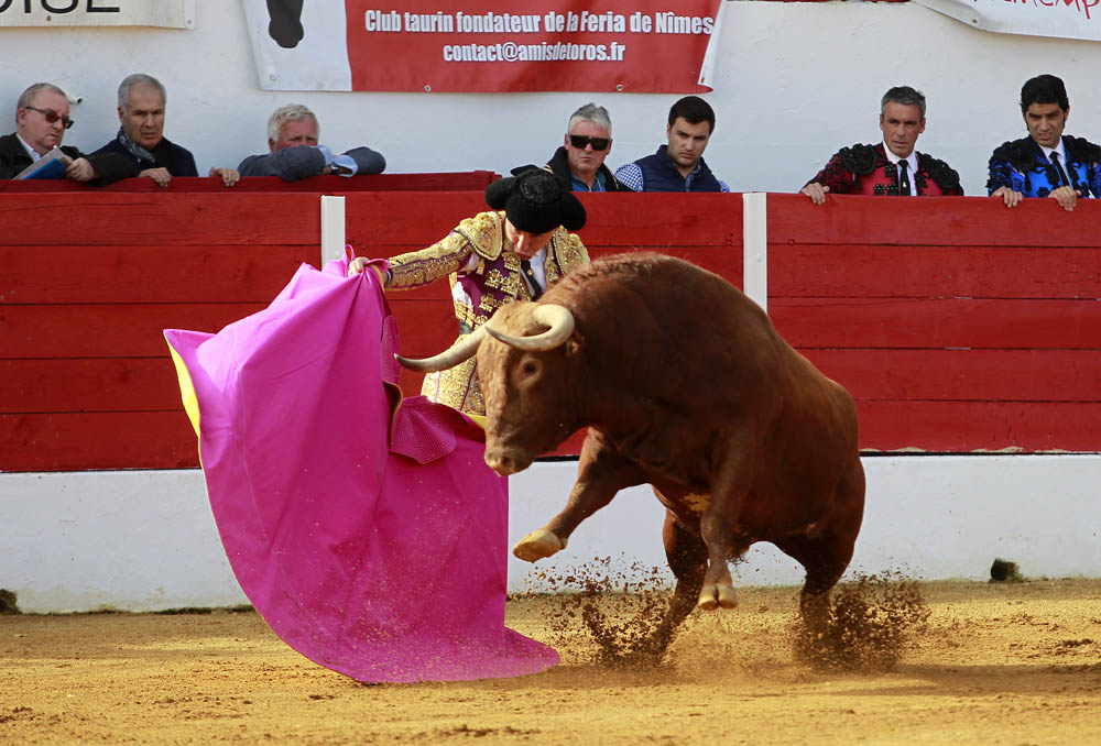Aignan (Francia) - Corrida de toros - Desafío ganadero - Domingo 1 de abril de 2018