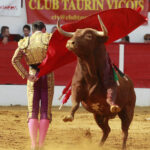 Aignan (Francia) - Corrida de toros - Desafío ganadero - Domingo 1 de abril de 2018