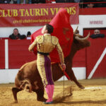 Aignan (Francia) - Corrida de toros - Desafío ganadero - Domingo 1 de abril de 2018