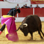 Aignan (Francia) - Corrida de toros - Desafío ganadero - Domingo 1 de abril de 2018