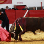 Aignan (Francia) - Corrida de toros - Desafío ganadero - Domingo 1 de abril de 2018