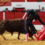 Aignan (Francia) - Corrida de toros - Desafío ganadero - Domingo 1 de abril de 2018