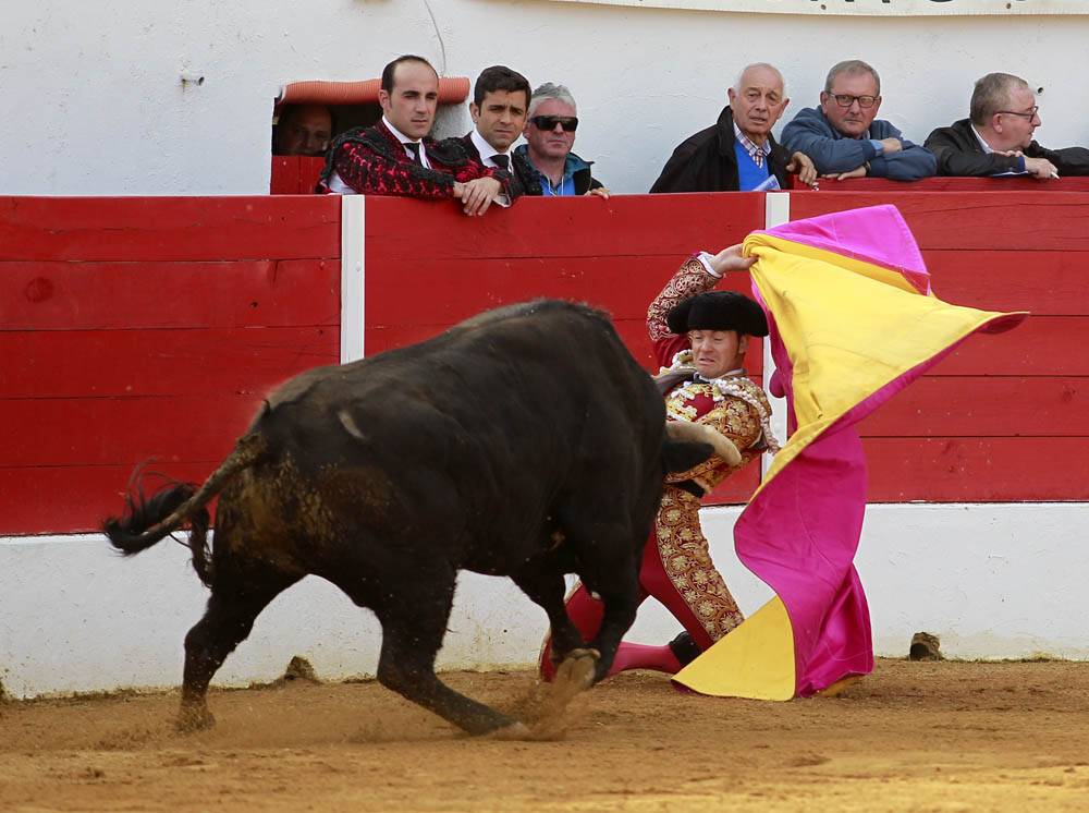 Aignan (Francia) - Corrida de toros - Desafío ganadero - Domingo 1 de abril de 2018
