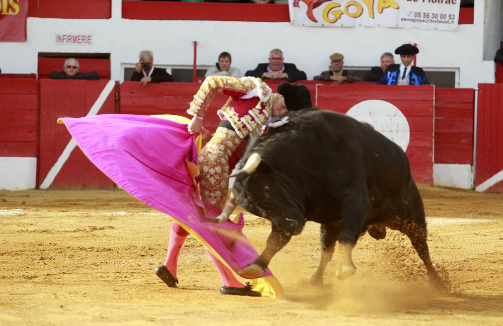 Aignan (Francia) - Corrida de toros - Desafío ganadero - Domingo 1 de abril de 2018