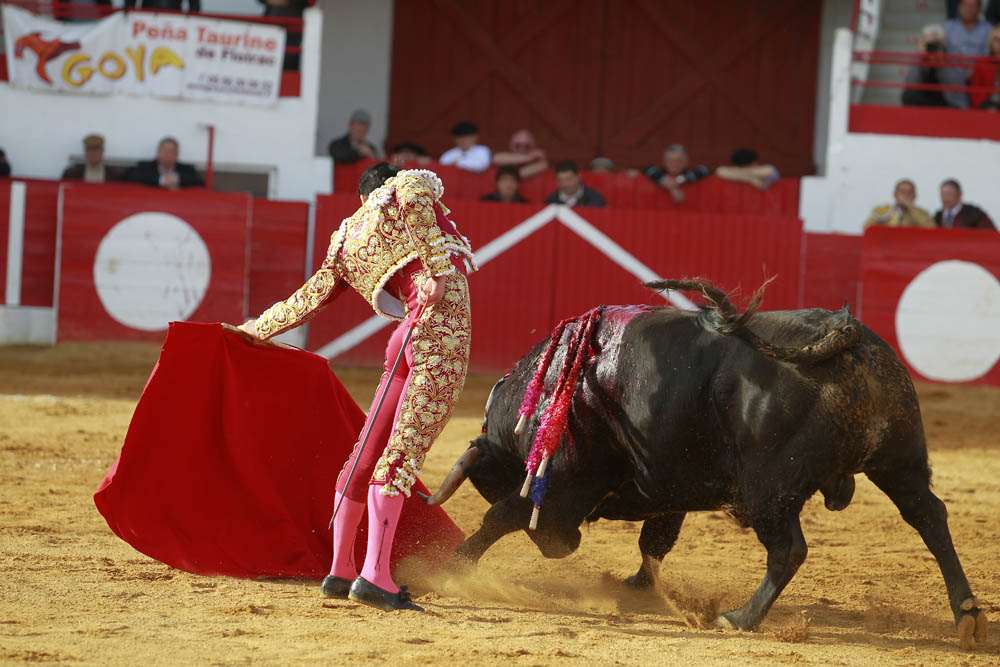 Aignan (Francia) - Corrida de toros - Desafío ganadero - Domingo 1 de abril de 2018