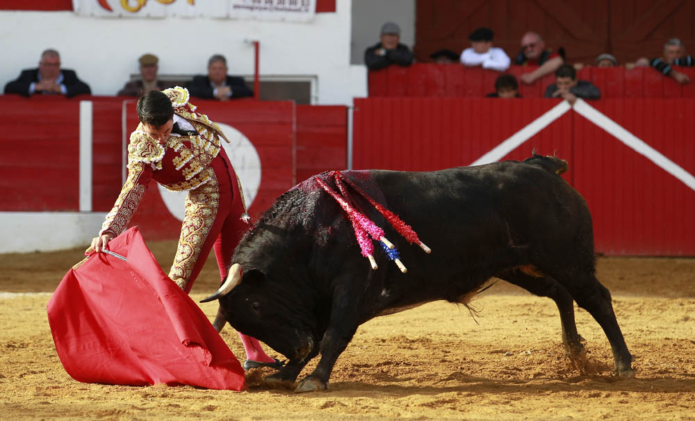 Aignan (Francia) - Corrida de toros - Desafío ganadero - Domingo 1 de abril de 2018