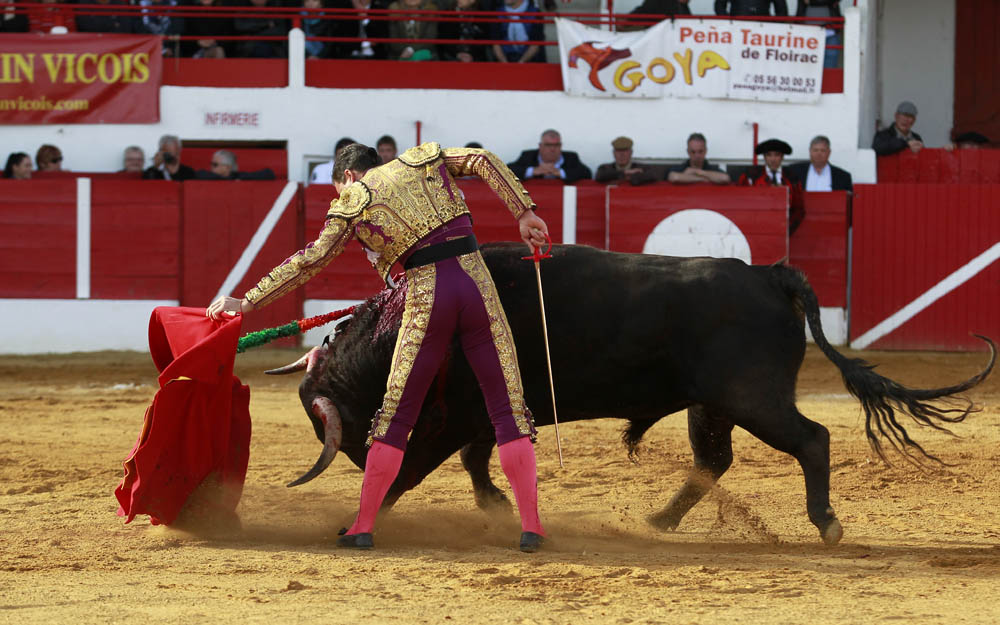Aignan (Francia) - Corrida de toros - Desafío ganadero - Domingo 1 de abril de 2018