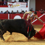 Aignan (Francia) - Corrida de toros - Desafío ganadero - Domingo 1 de abril de 2018