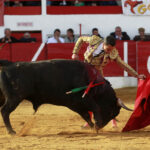 Aignan (Francia) - Corrida de toros - Desafío ganadero - Domingo 1 de abril de 2018