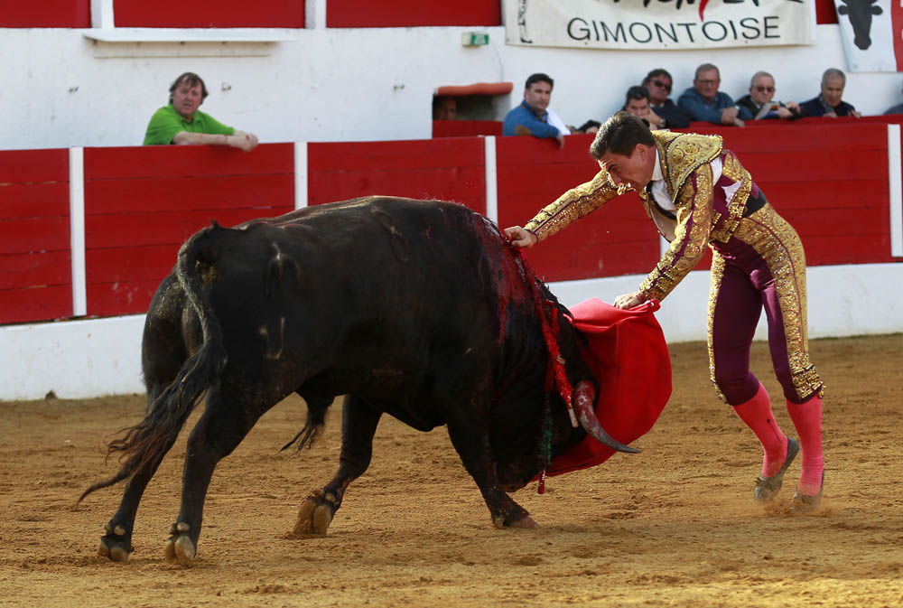 Aignan (Francia) - Corrida de toros - Desafío ganadero - Domingo 1 de abril de 2018