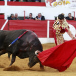 Aignan (Francia) - Corrida de toros - Desafío ganadero - Domingo 1 de abril de 2018