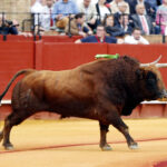 Sevilla - Corrida de toros - Sábado 21 de abril de 2018