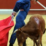 Quinto tentadero del V Certamen Alfarero de Plata 2018