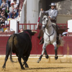 Murcia. Domingo, 22 de abril de 2018. Festival AECC.