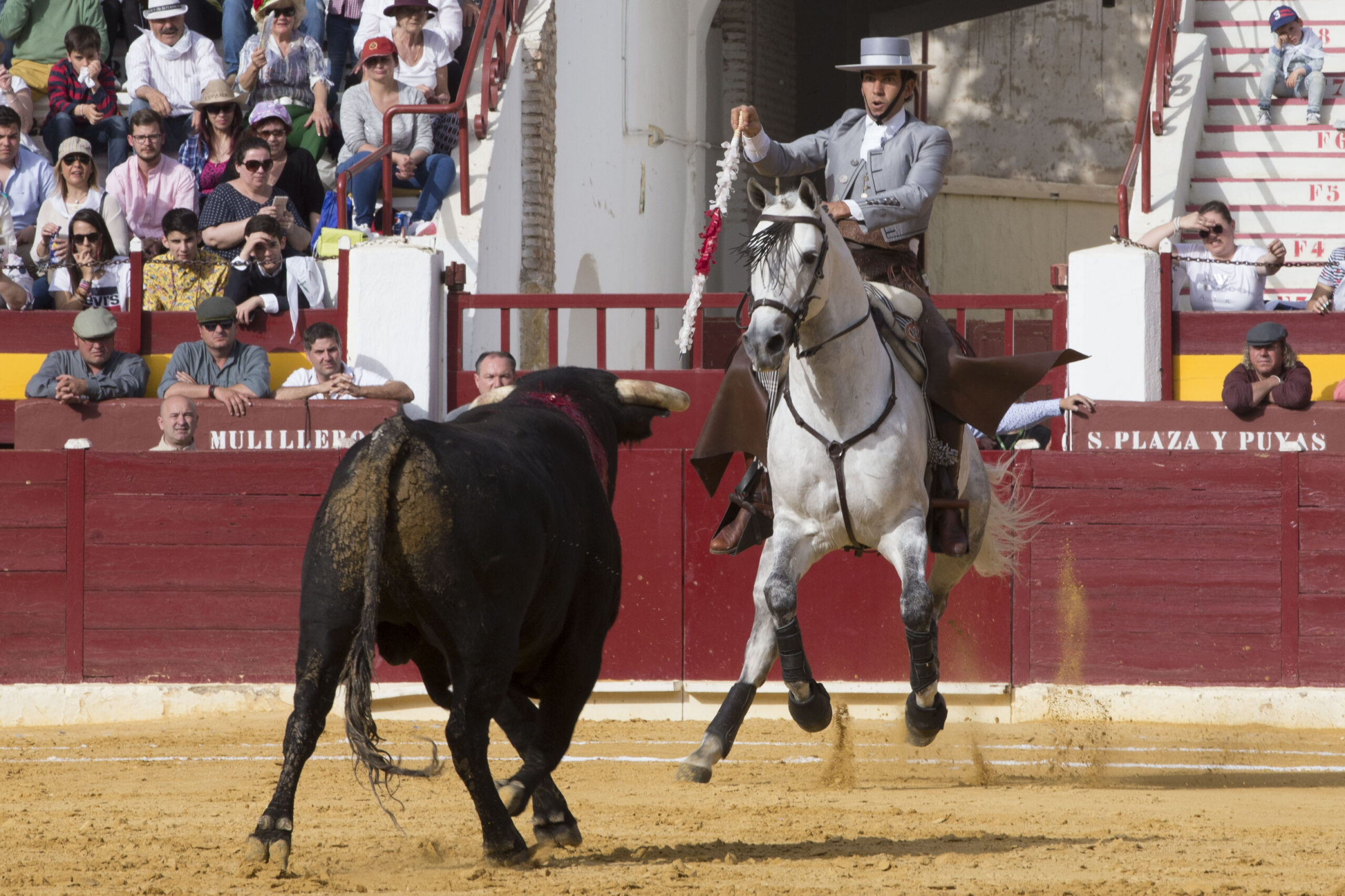 Murcia. Domingo, 22 de abril de 2018. Festival AECC.