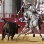 Murcia. Domingo, 22 de abril de 2018. Festival AECC.