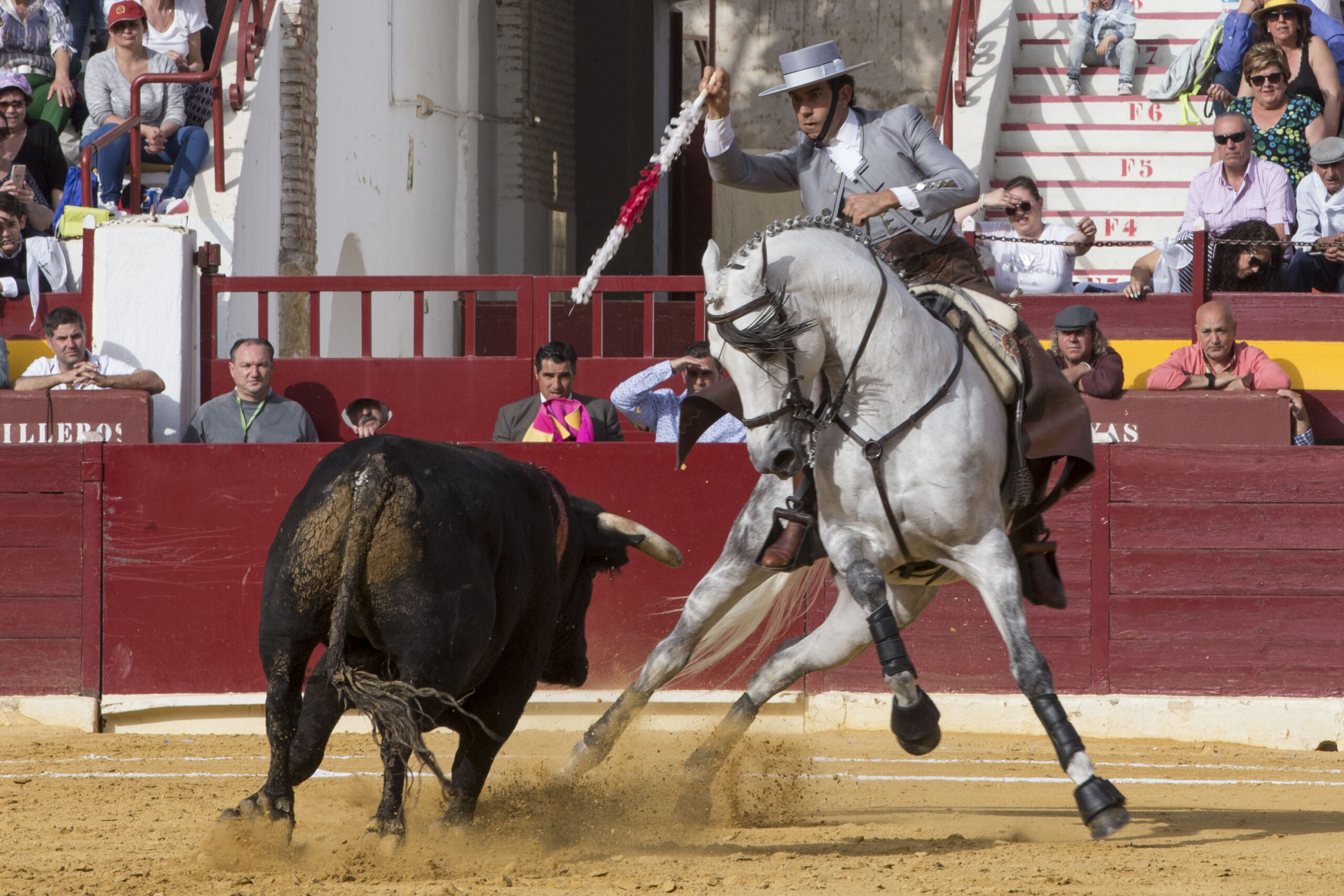 Murcia. Domingo, 22 de abril de 2018. Festival AECC.