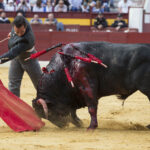 Murcia. Domingo, 22 de abril de 2018. Festival AECC.