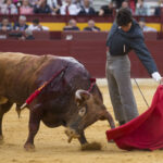 Murcia. Domingo, 22 de abril de 2018. Festival AECC.