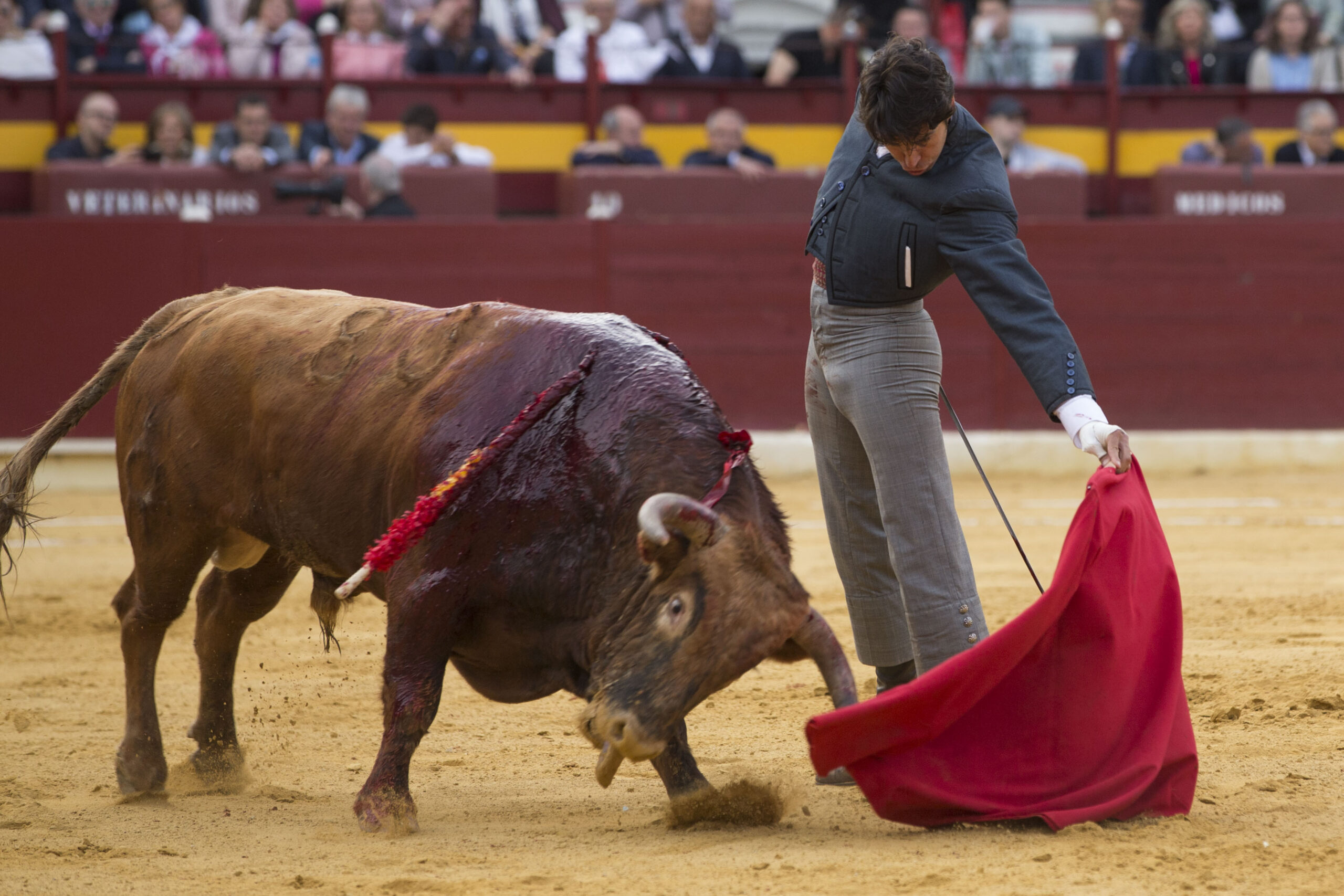 Murcia. Domingo, 22 de abril de 2018. Festival AECC.