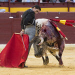 Murcia. Domingo, 22 de abril de 2018. Festival AECC.