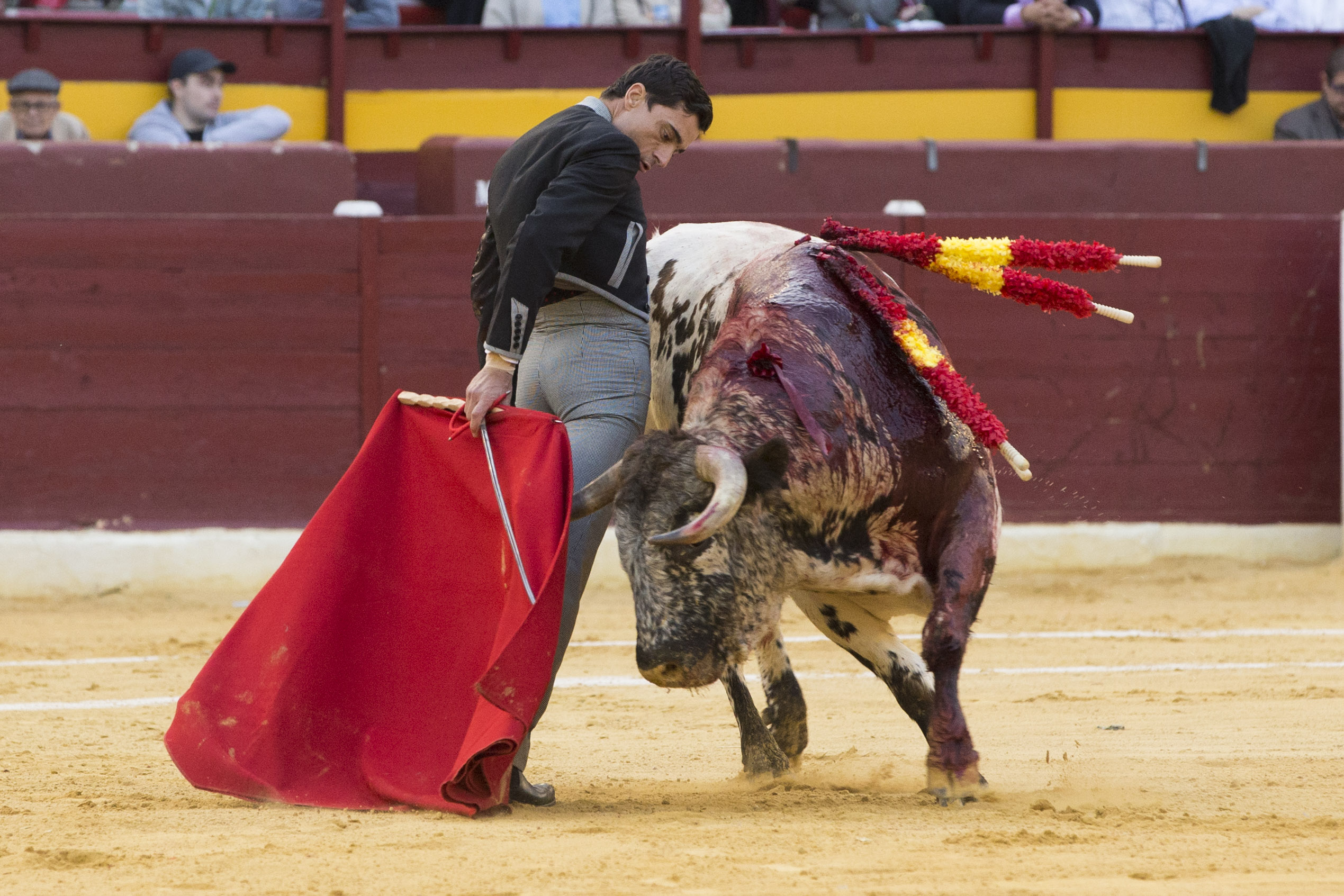 Murcia. Domingo, 22 de abril de 2018. Festival AECC.