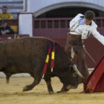 Murcia. Domingo, 22 de abril de 2018. Festival AECC.