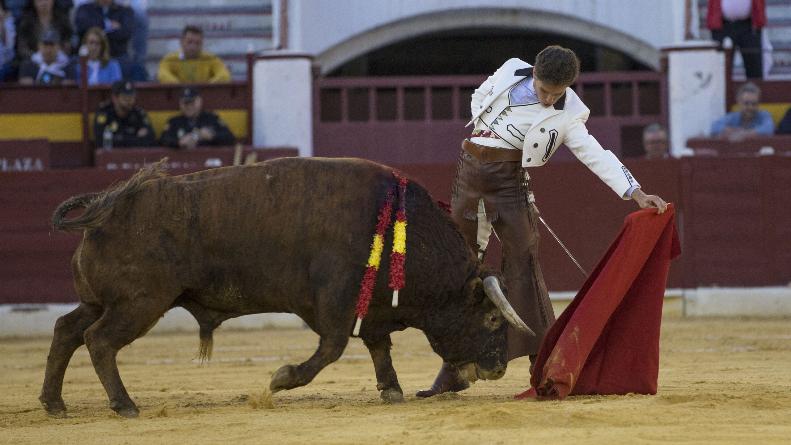Murcia. Domingo, 22 de abril de 2018. Festival AECC.