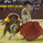 Murcia. Domingo, 22 de abril de 2018. Festival AECC.