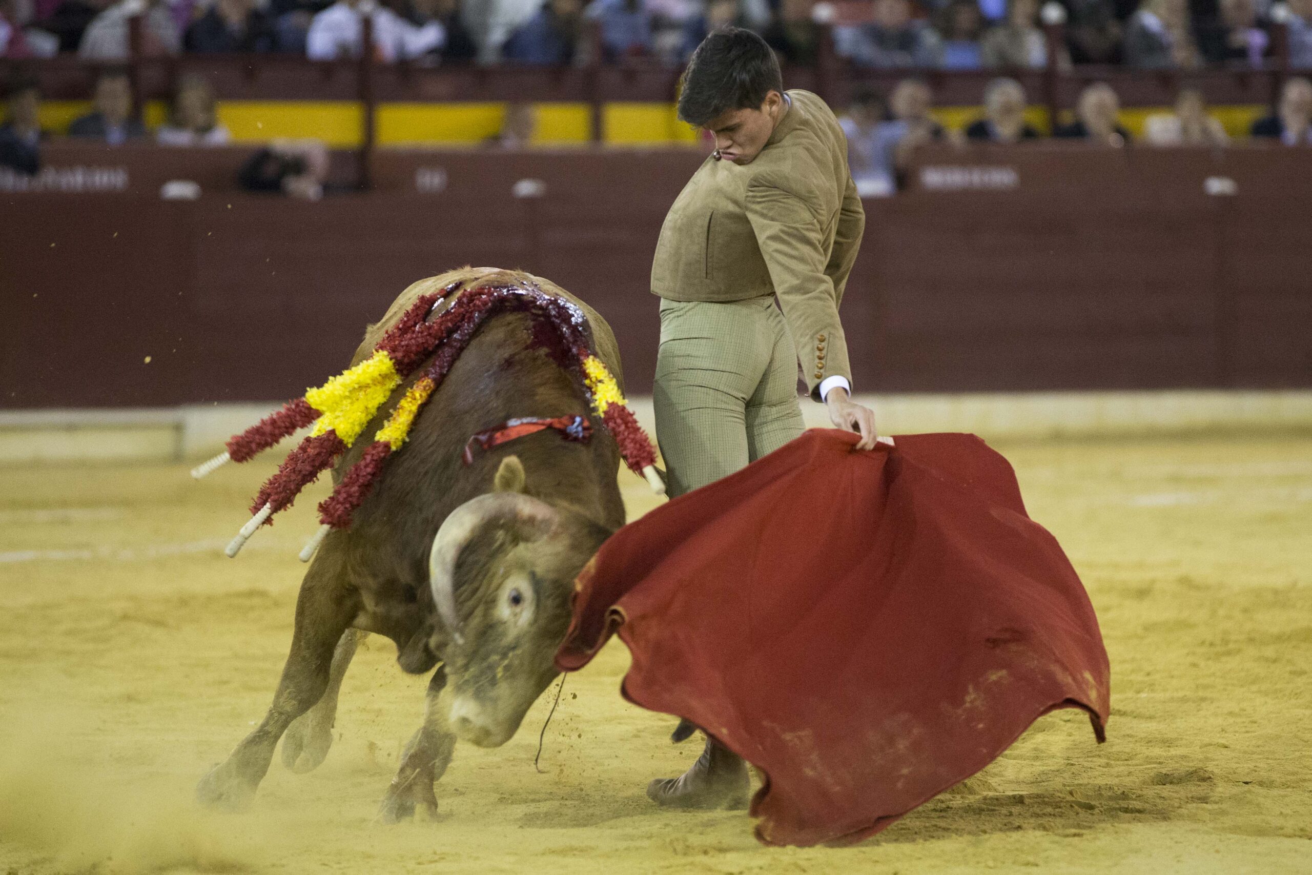 Murcia. Domingo, 22 de abril de 2018. Festival AECC.