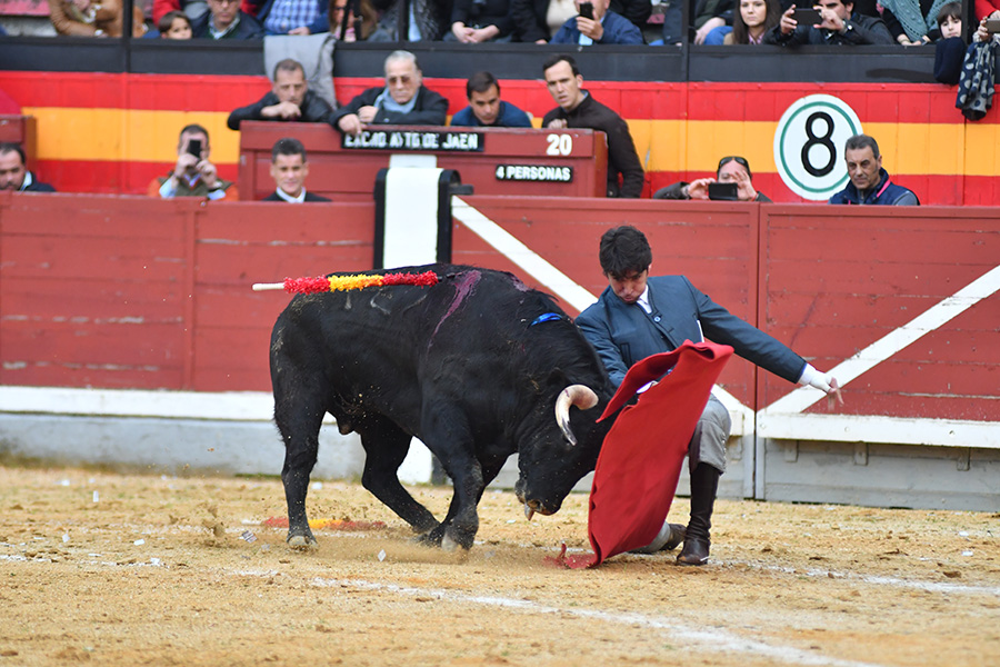 Jaén, 14 de abril de 2018
