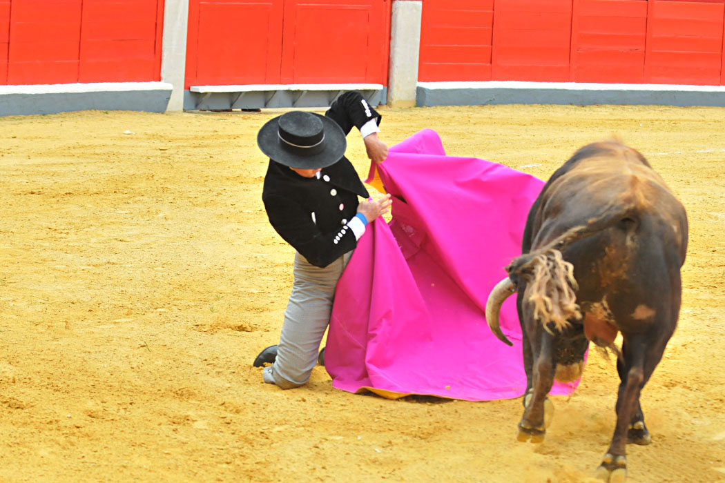 Granada, 15 de abril de 2018