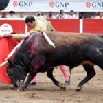 Aguascalientes (México), domingo 29 de abril de 2018