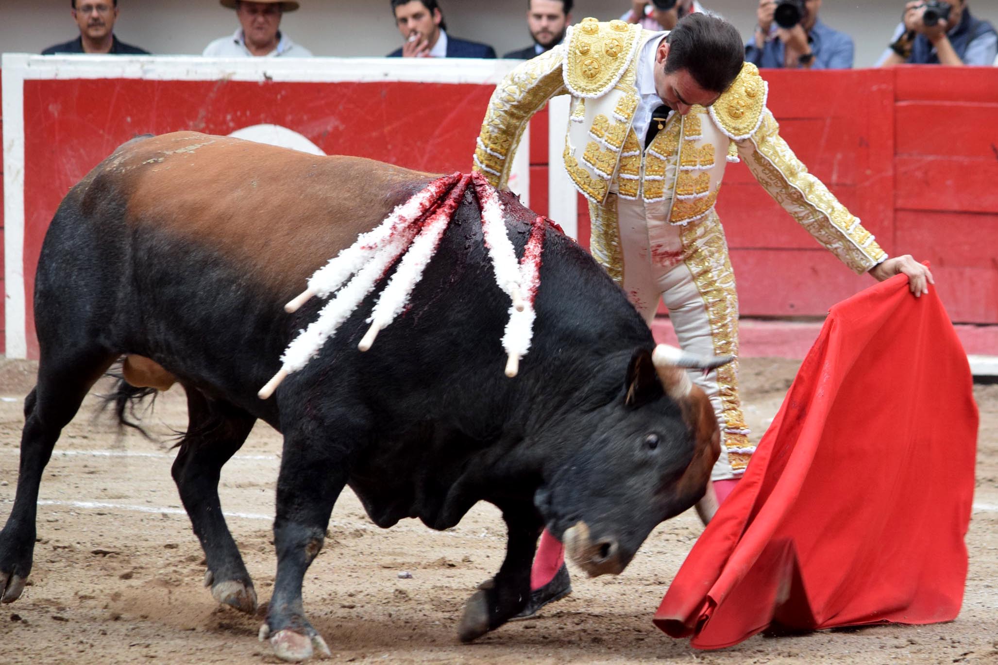 Aguascalientes (México), domingo 29 de abril de 2018