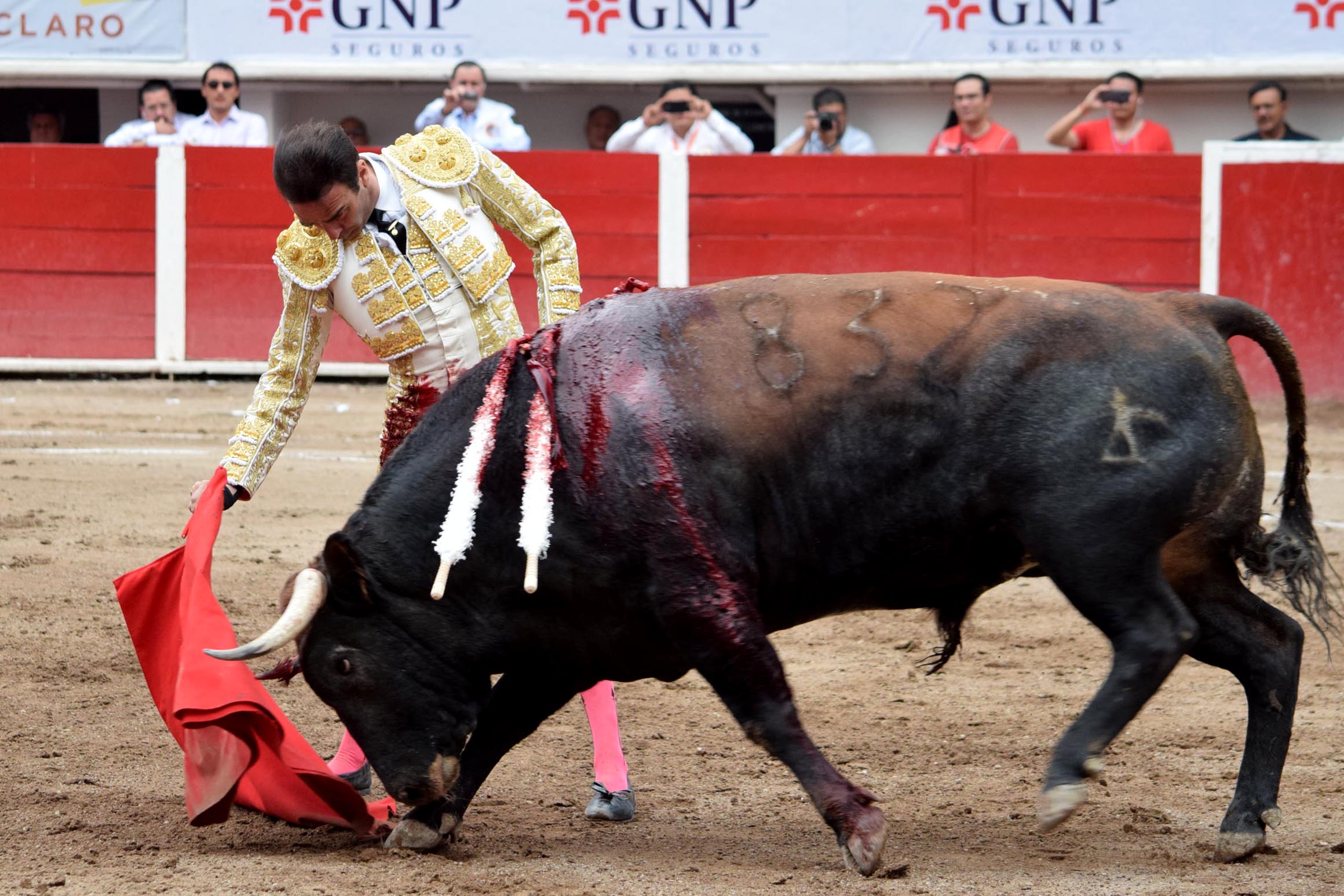 Aguascalientes (México), domingo 29 de abril de 2018