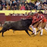 Campo Pequeno, Lisboa (Portugal) - Sábado 28 de abril de 2018