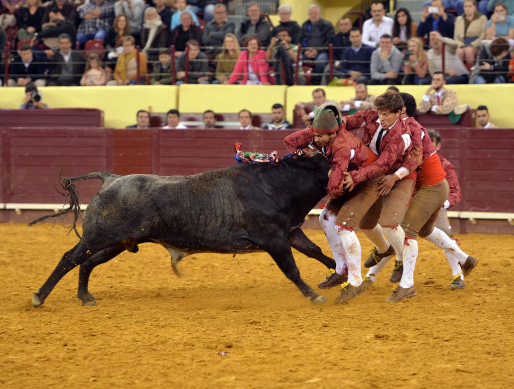 Campo Pequeno, Lisboa (Portugal) - Sábado 28 de abril de 2018