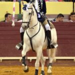 Campo Pequeno, Lisboa (Portugal) - Sábado 28 de abril de 2018