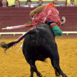 Campo Pequeno, Lisboa (Portugal) - Sábado 28 de abril de 2018
