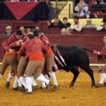Campo Pequeno, Lisboa (Portugal) - Sábado 28 de abril de 2018