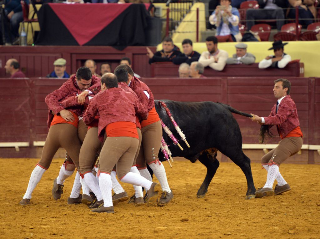 Campo Pequeno, Lisboa (Portugal) - Sábado 28 de abril de 2018