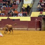 Campo Pequeno, Lisboa (Portugal) - Sábado 28 de abril de 2018