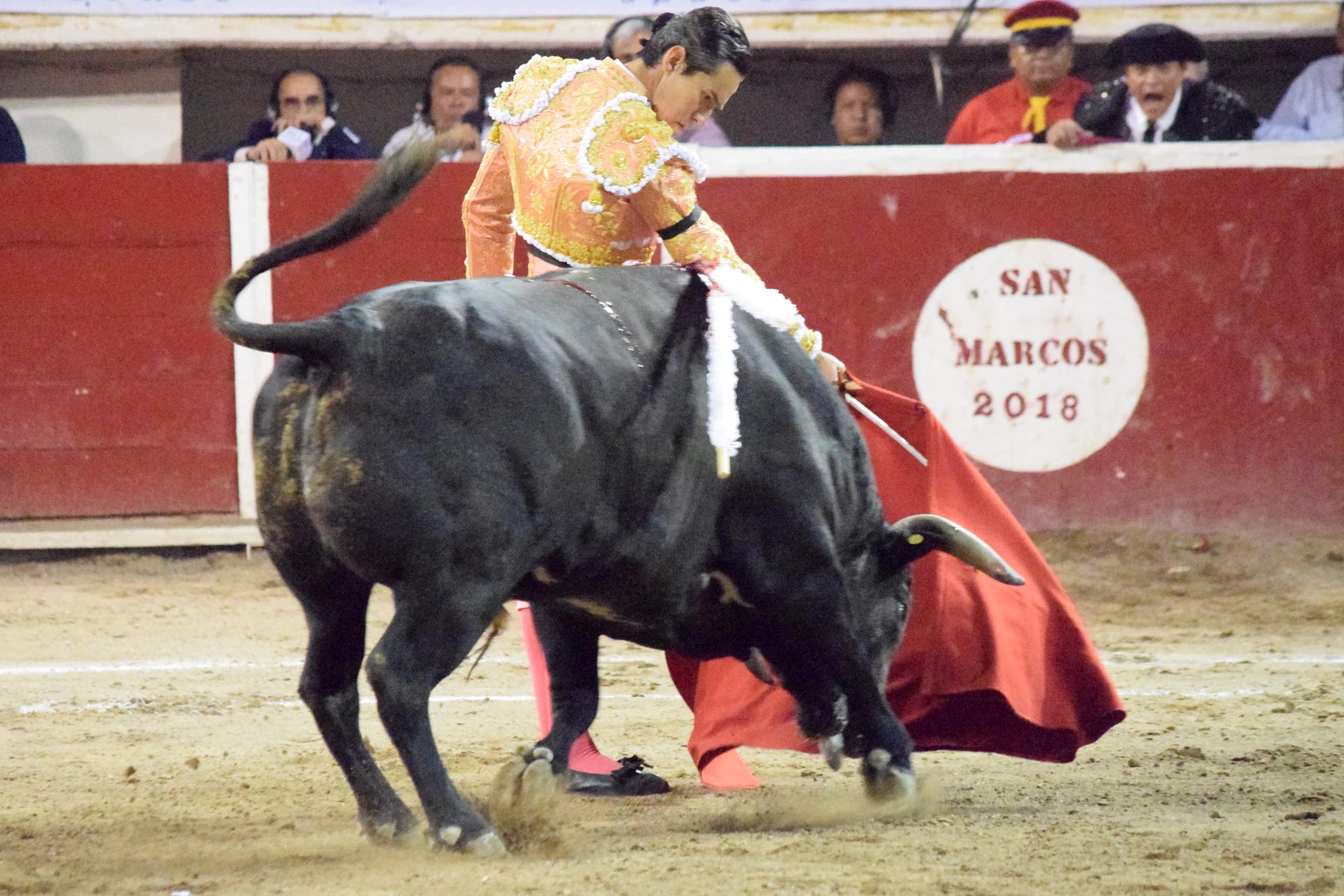 Aguascalientes (México), domingo 29 de abril de 2018