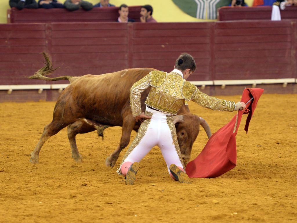 Campo Pequeno, Lisboa (Portugal) - Sábado 28 de abril de 2018