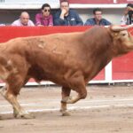 Aguascalientes (México) -Percance de Macías - Viernes 27 de abril de 2018