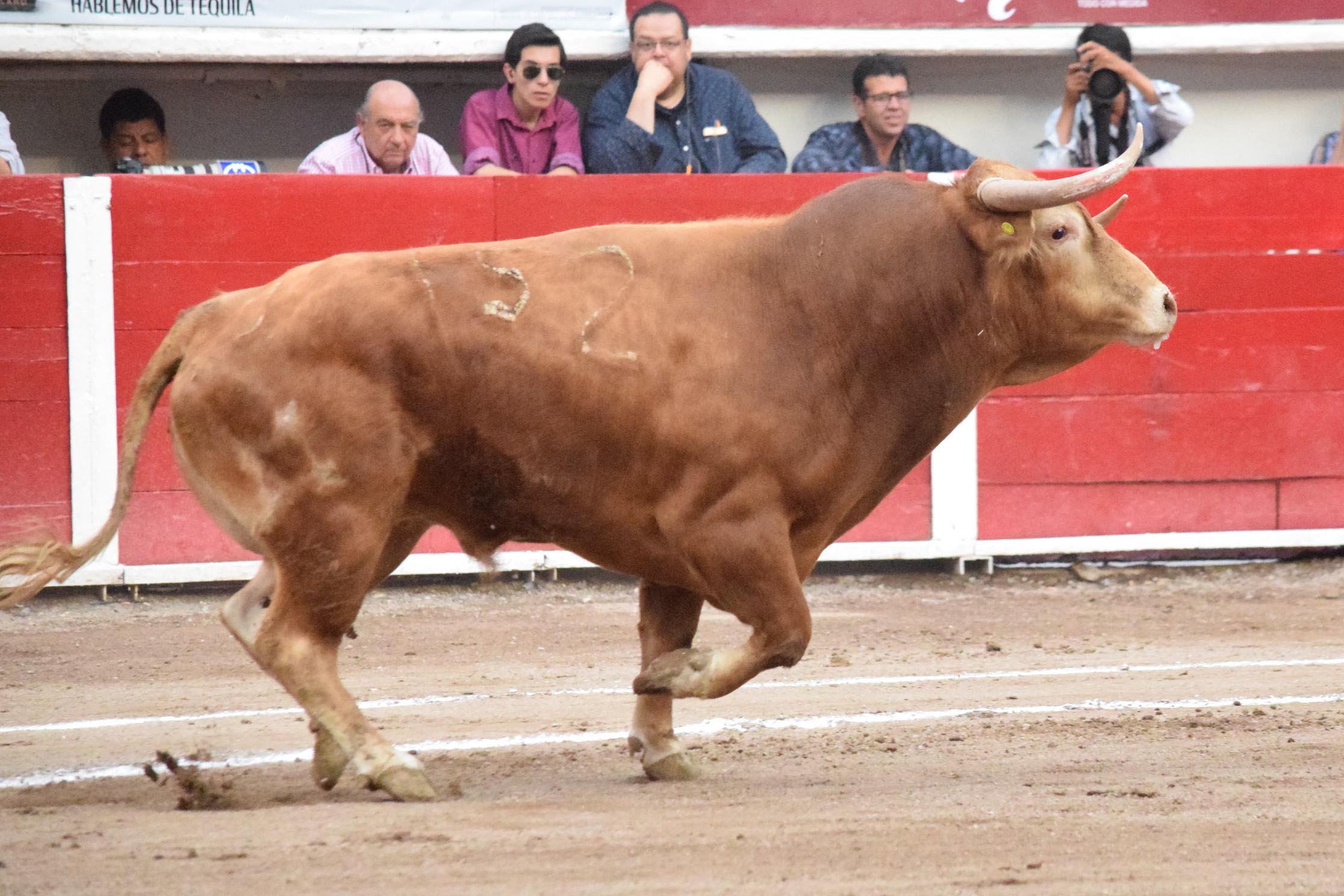 Aguascalientes (México) -Percance de Macías - Viernes 27 de abril de 2018