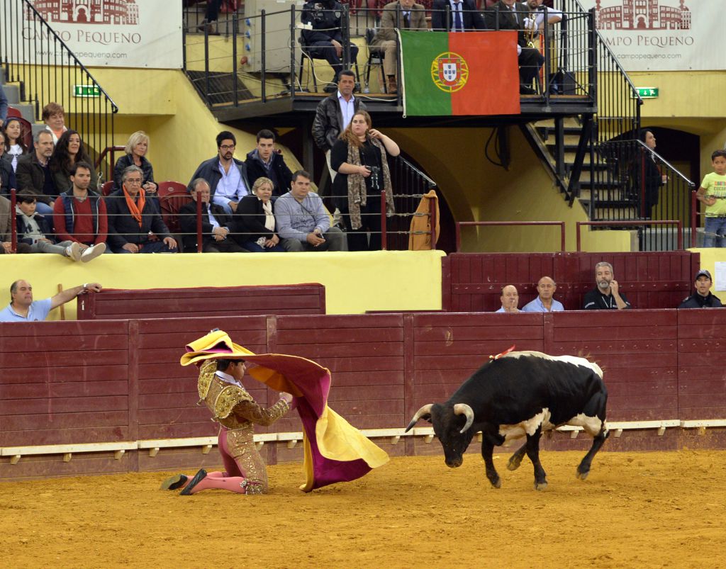Campo Pequeno, Lisboa (Portugal) - Sábado 28 de abril de 2018
