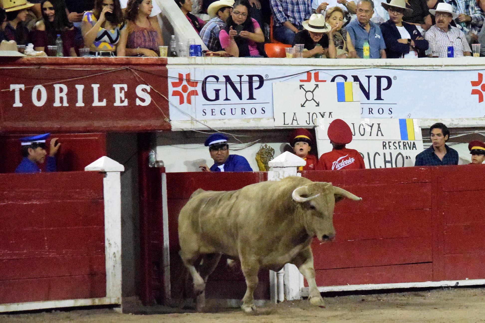 Aguascalientes (México), domingo 29 de abril de 2018